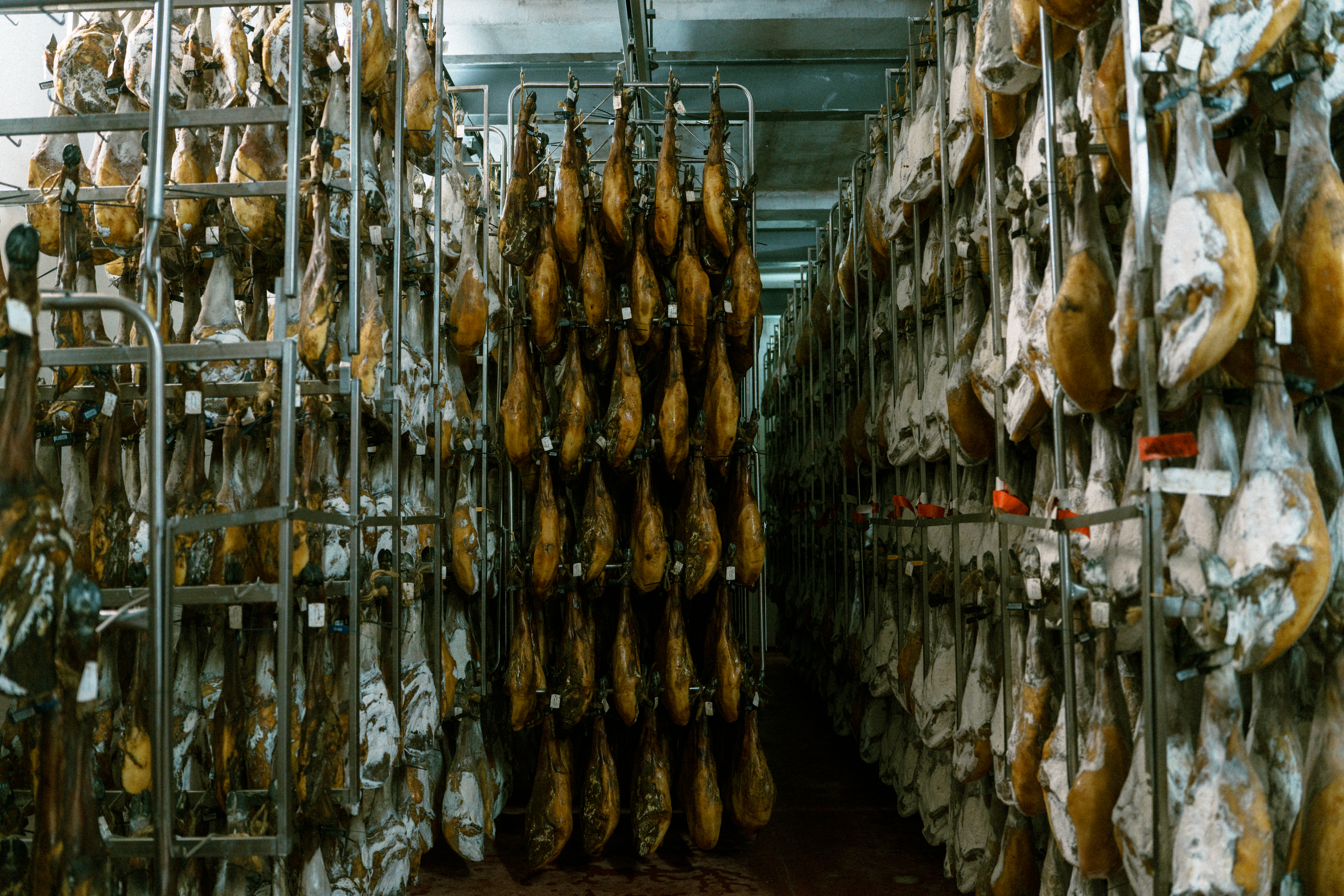 Señorío de Montanera